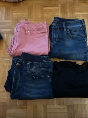 Size 32 Bundle Tory Burch Rose Pants Michel studio Top, Silver Suki Jeans